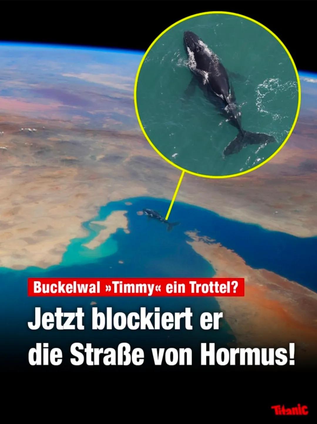 IMG 20260403 115635 763