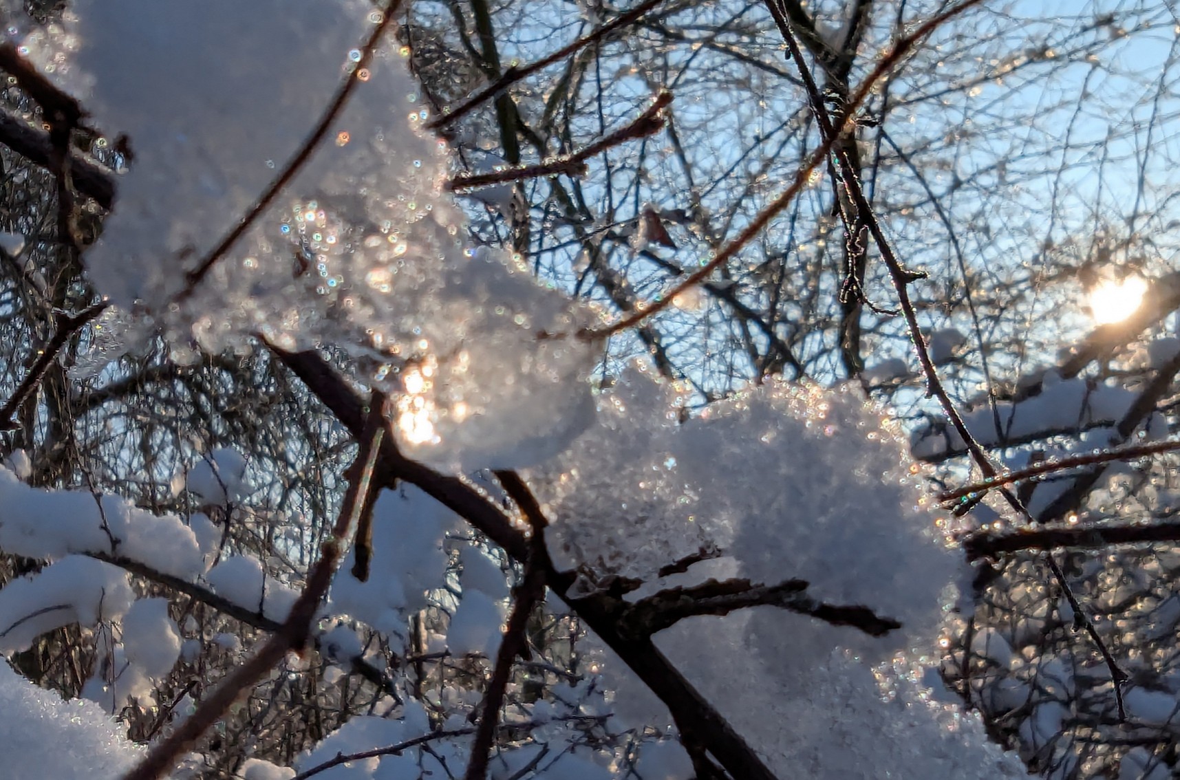 2a3c1c2f-91a2-4490-802c-172644ae2118 cop