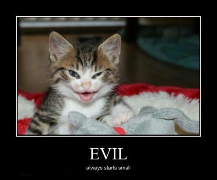 evil meme - Copy