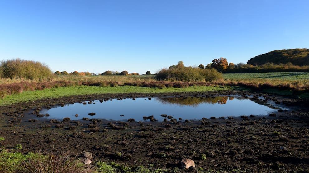 849339135f12c7c760d322d3d74d4a3f2bce6a0e