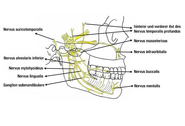 fig24