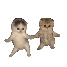 296917-kitty-dance8658d4r5685