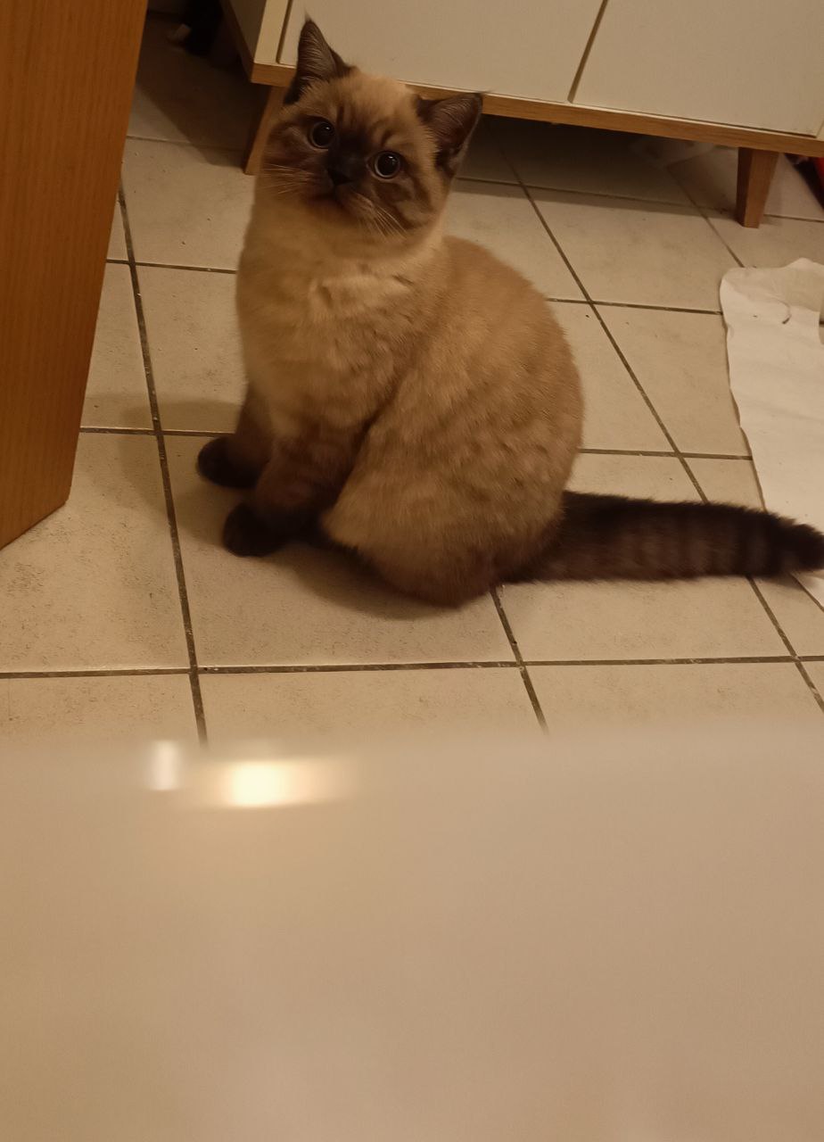 IMG 20251107 195331 081