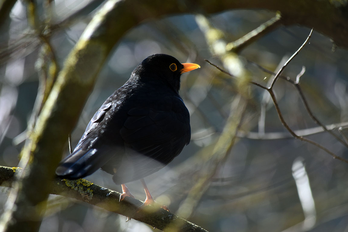 f4871074-2050-4efa-863c-f61ce6fd5967