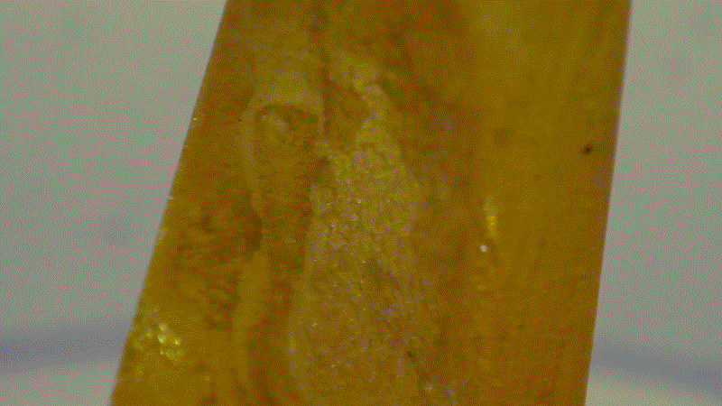 Bern2
