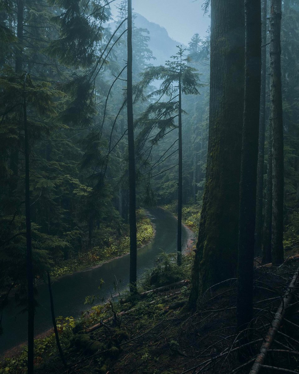 pac northwest - Copy