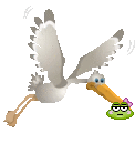 oie overlay