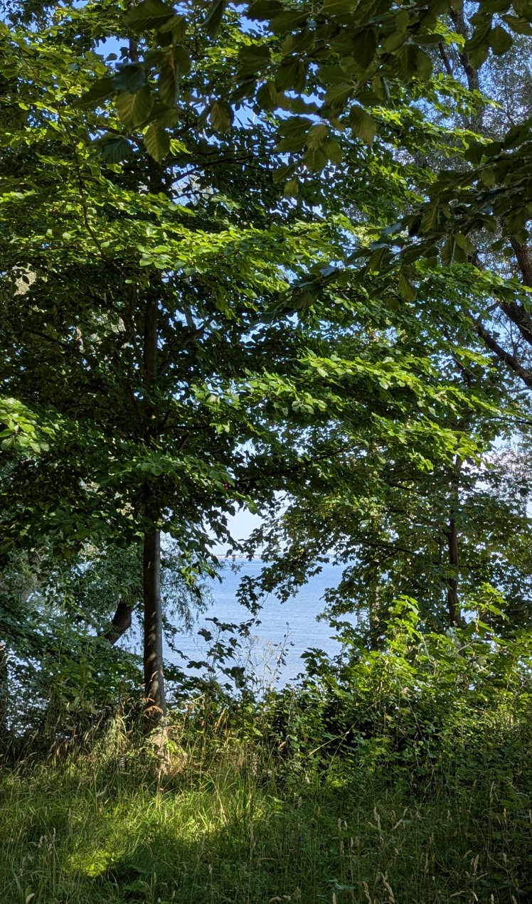 0944ef1a-446c-4bb3-afab-c63910350d9c