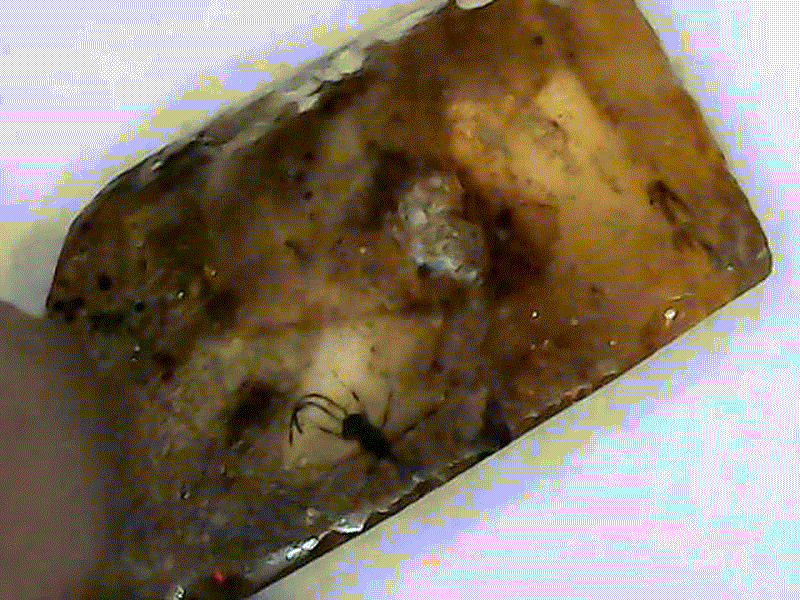 test1