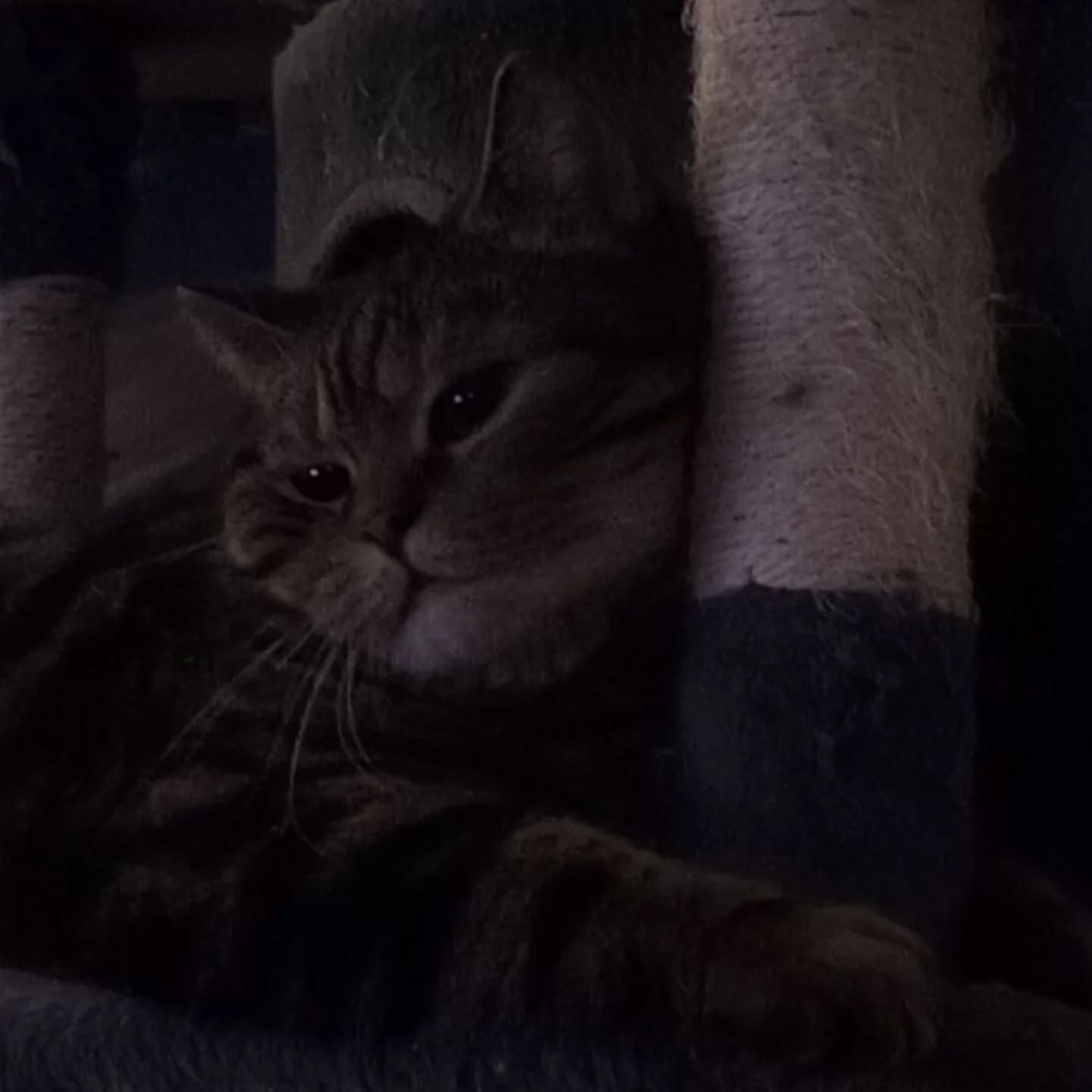 626839083 18449365627102346 803438538206