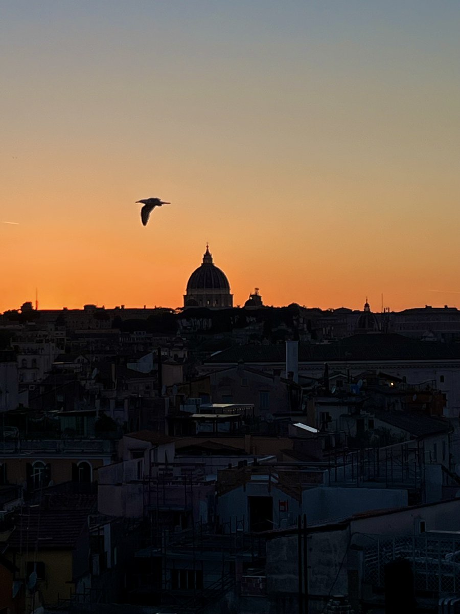 la cupola di san pietro