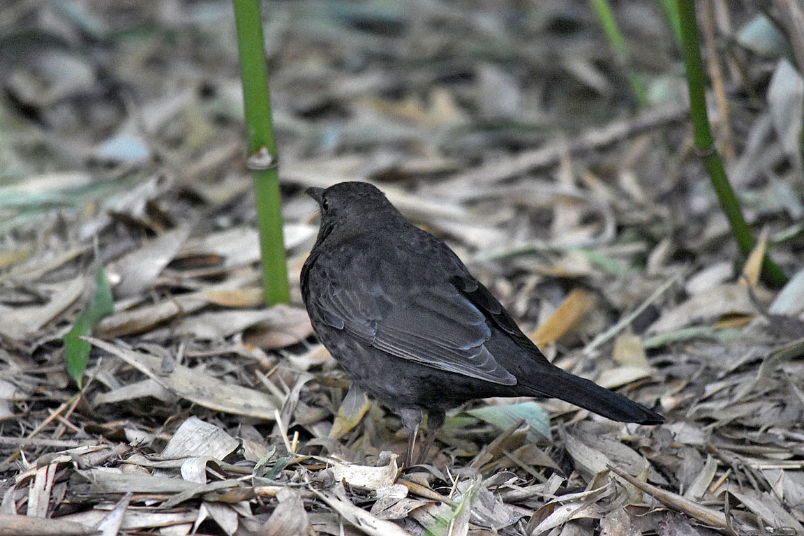 5c022080-a2c7-4342-9fc9-097b61e5520f