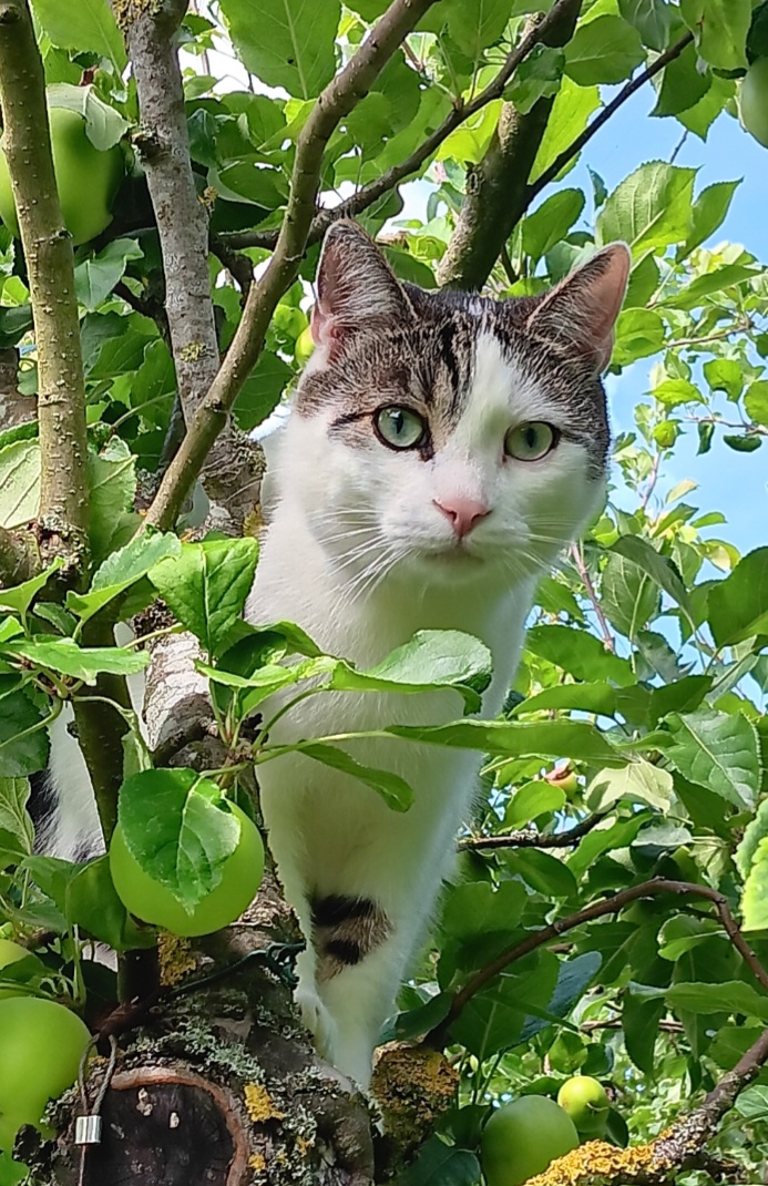 Screenshot 20251214 175645 Gallery