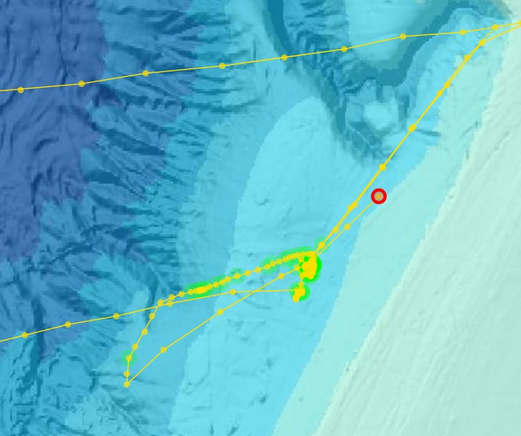 Screenshot 2026-02-02 164453