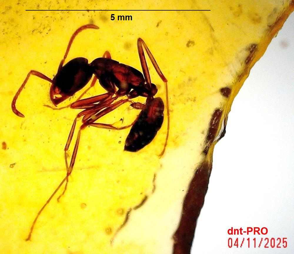 2025 1104 121544 001