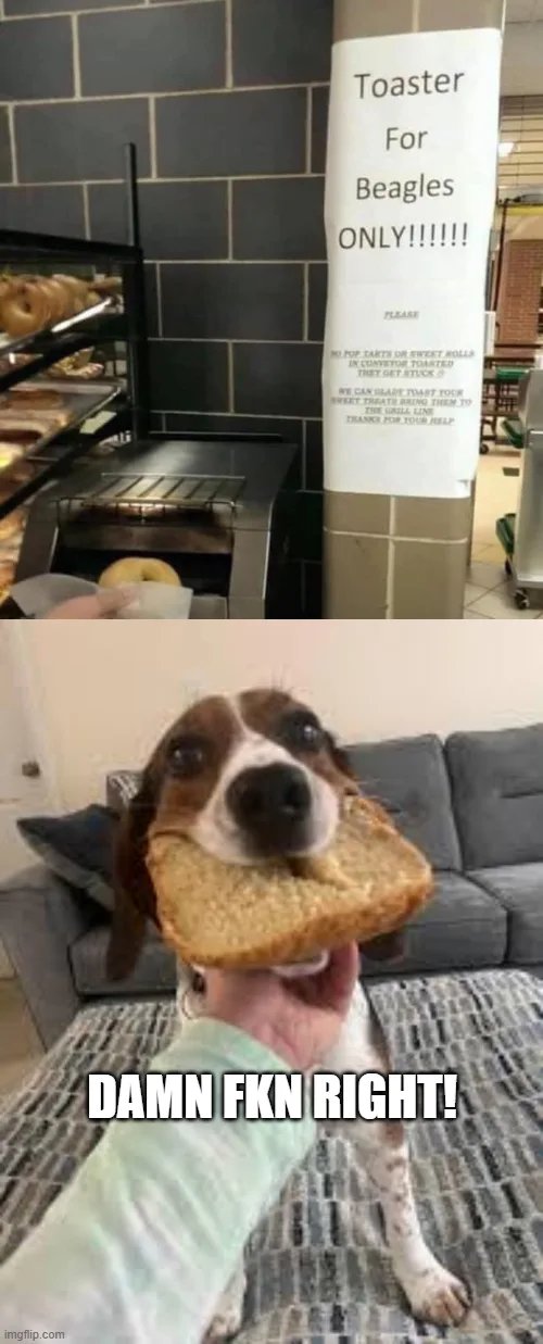 1000031249