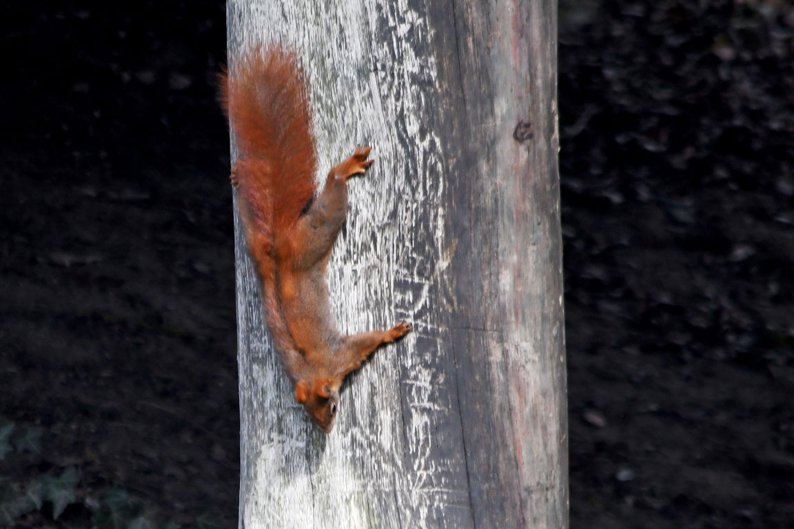 5f2ce6b3-5ee4-4767-a499-1a2b9a05384b