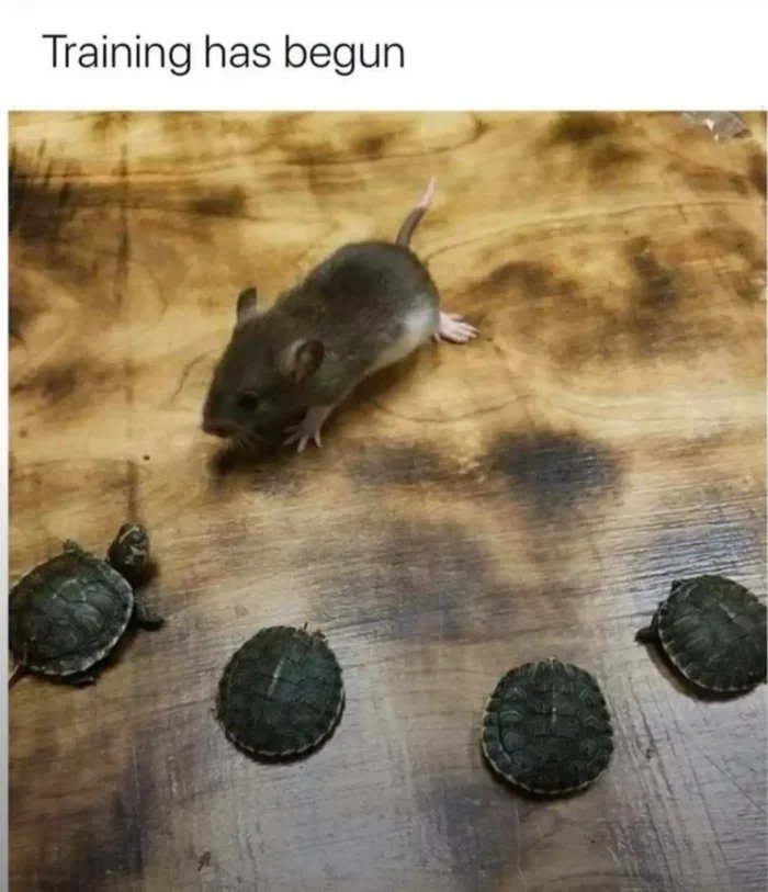 1000039099