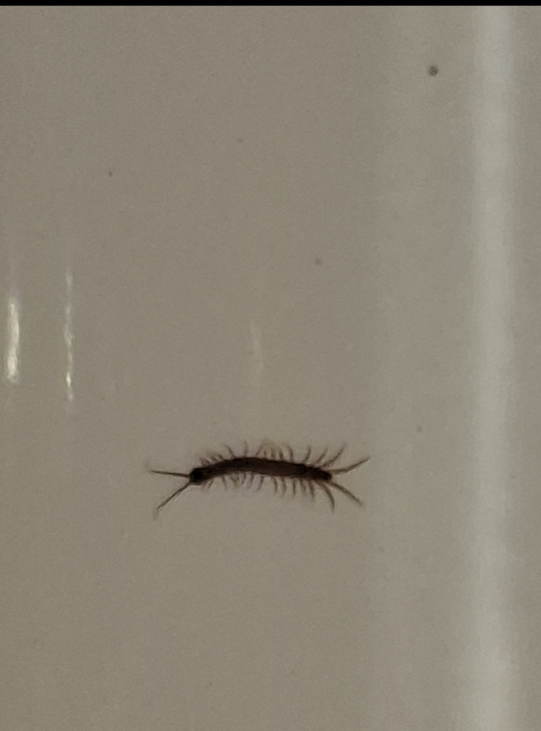 Screenshot 20251120 075453 Gallery