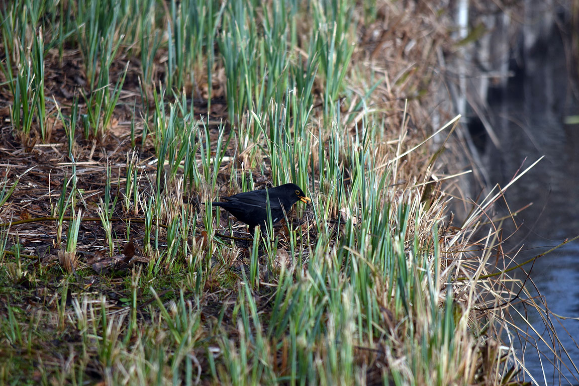 3b1cb7bf-1f31-4313-ae6c-21a1a6f40f48