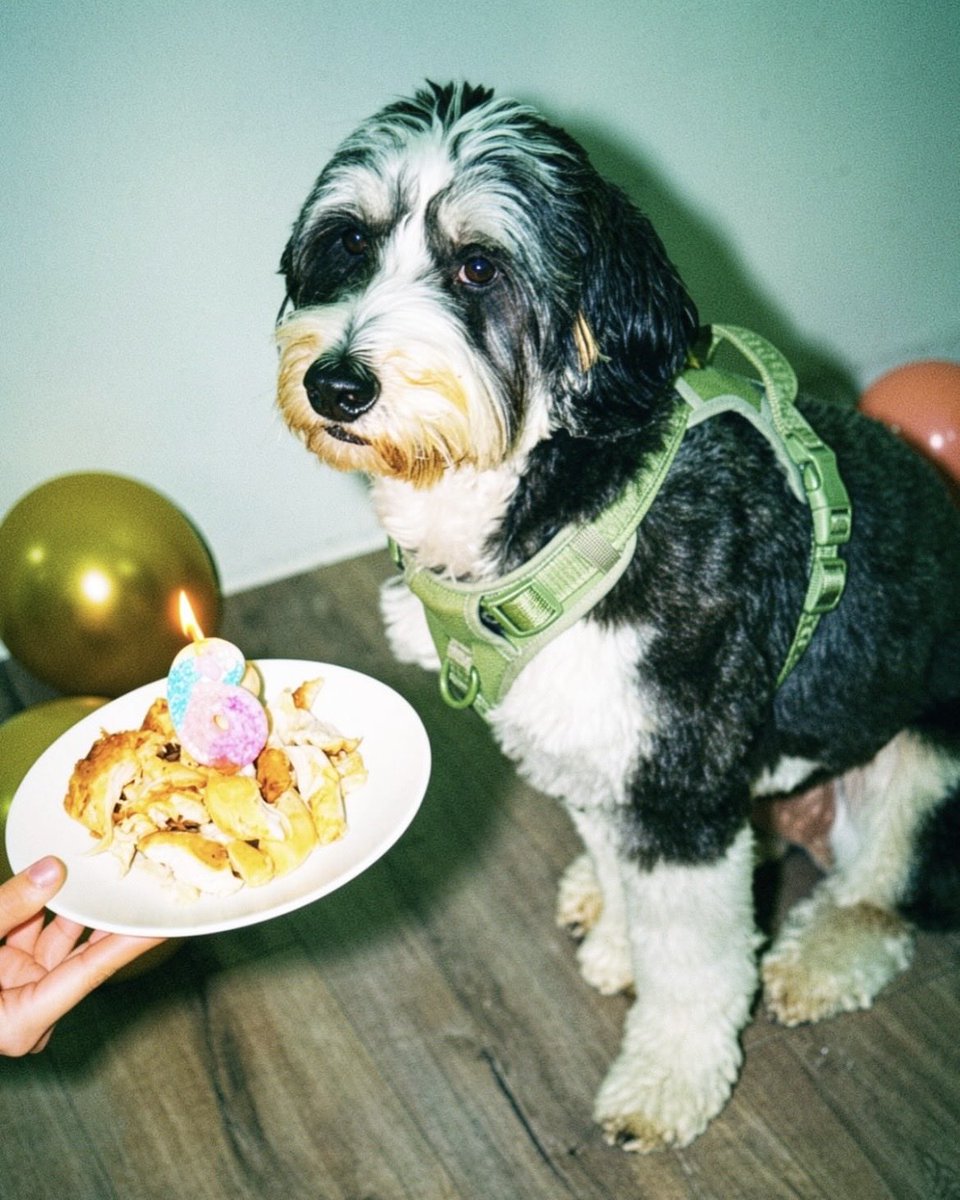 buon compleanno salsa 2 - Copy