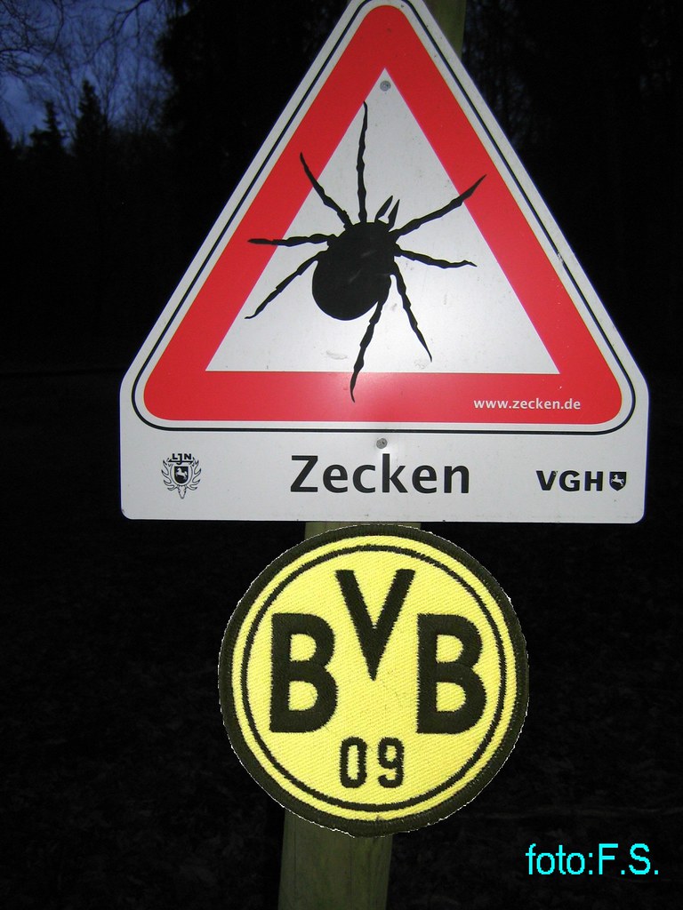 bvb zecken - Copy