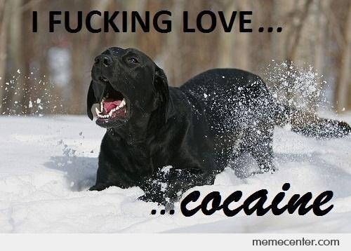 I-fucking-lovecocaine o 75580