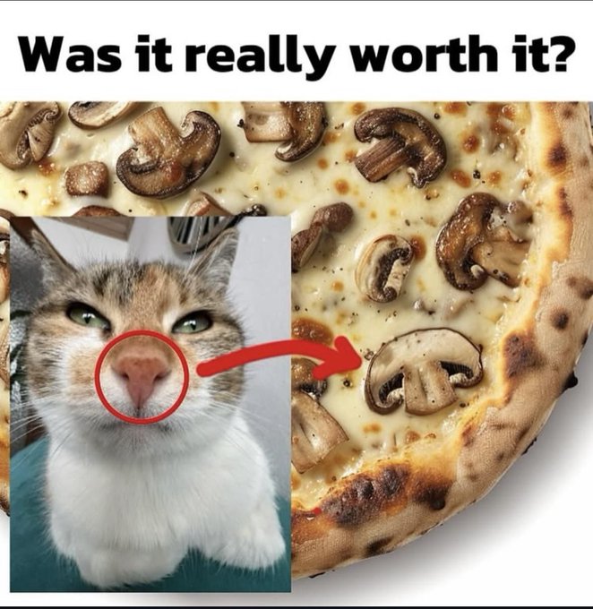 pizza kat - Copy