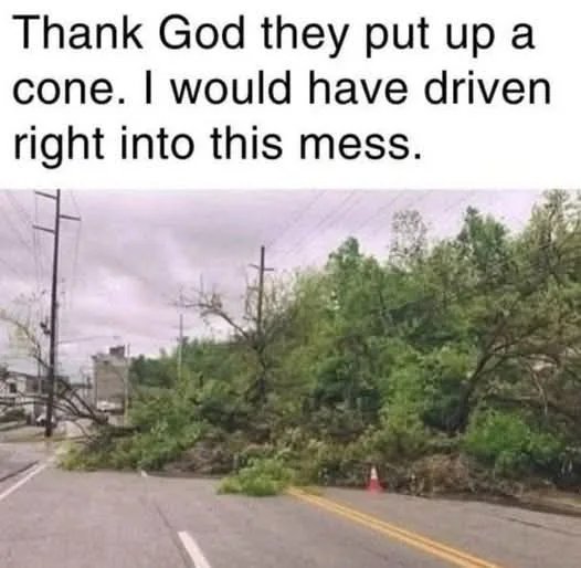 1000036294