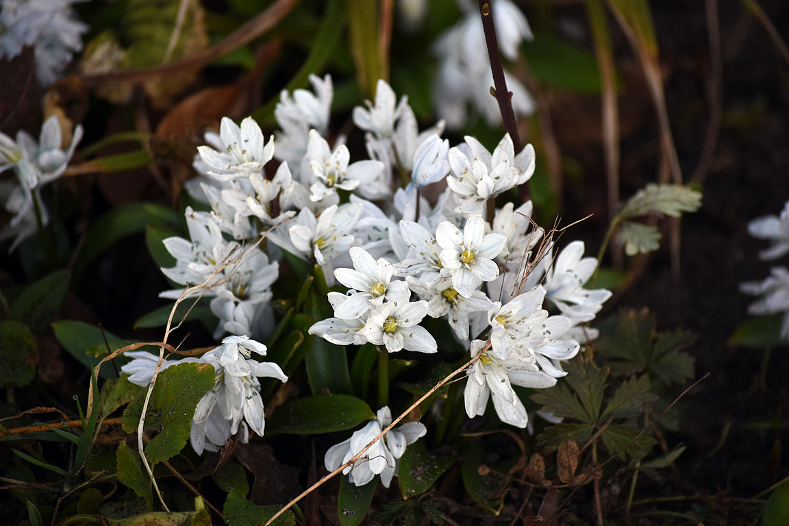 f3f47379-3692-472e-9374-a6dc2fc76b20