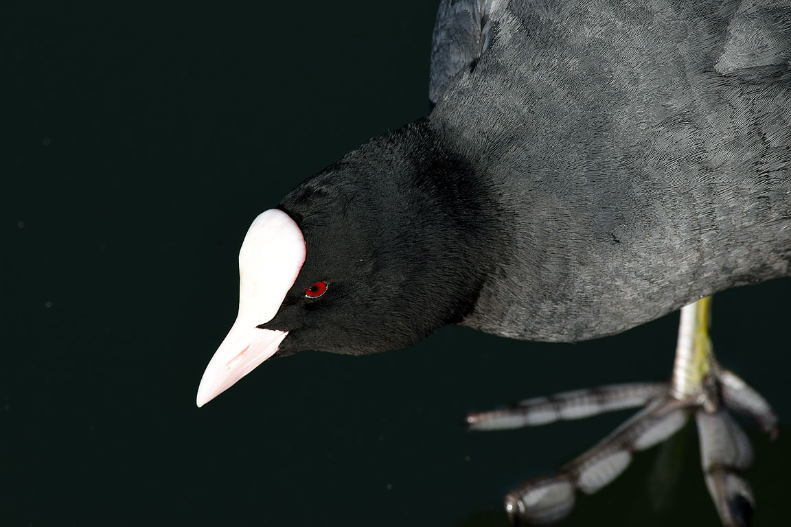 3a739ae9-e5b1-4825-a49a-e31665489313