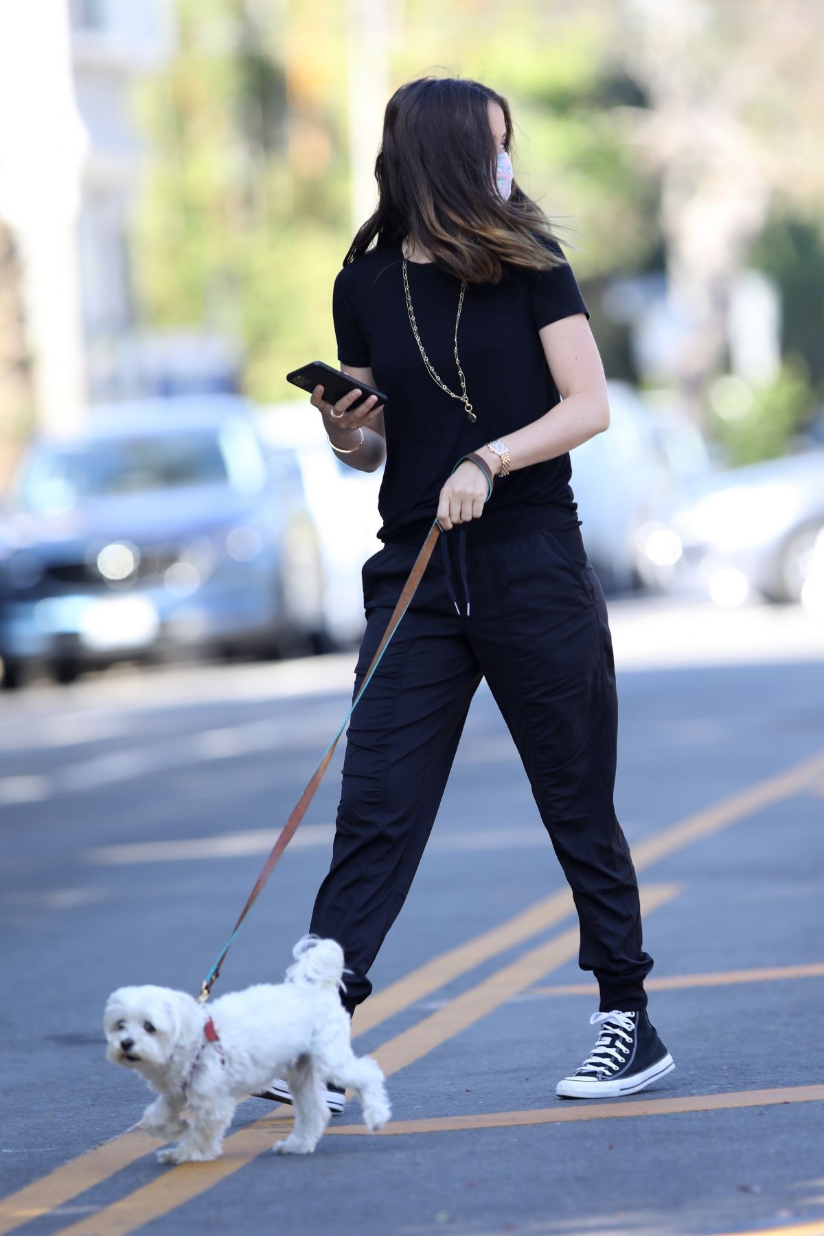 ana-de-armas-out-with-her-dog-in-venice-