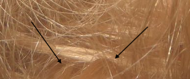 IMG 0580detail