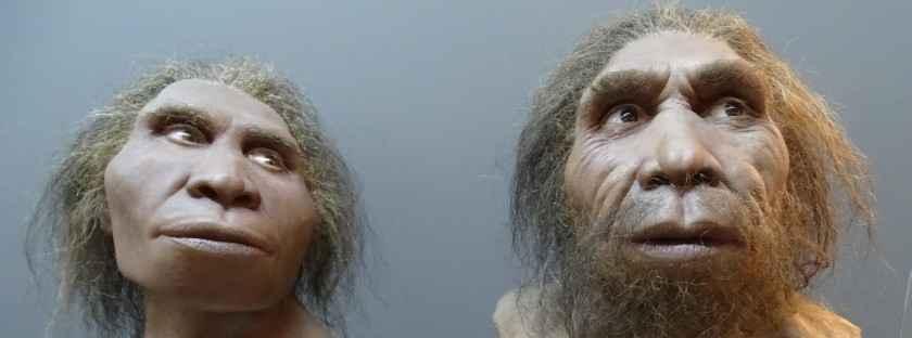 Mzia-Zeswa-DSC02085-840x312-Homo-Erectus