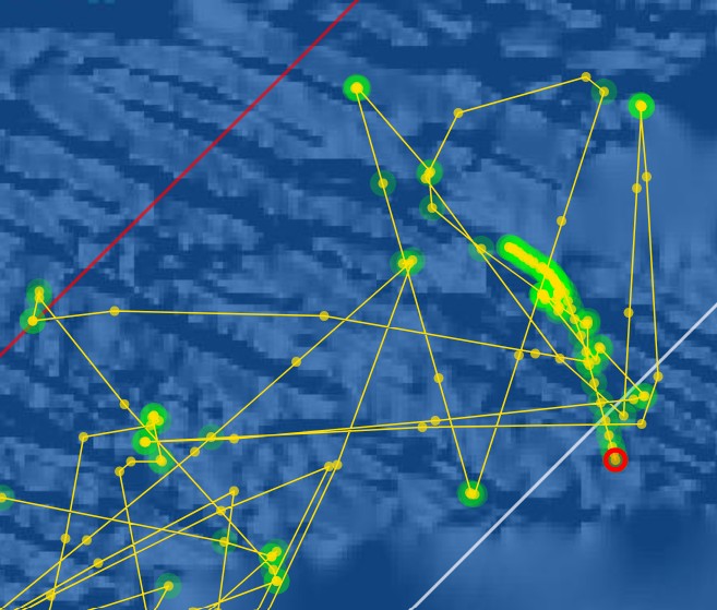 Screenshot 2026-01-17 170919