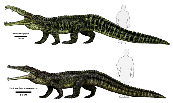 Smilosuchus-reconstructions-Jeff-Martz-6