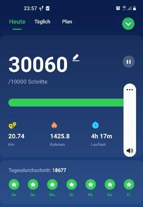 Screenshot 20220128-235722 Pedometer Ste