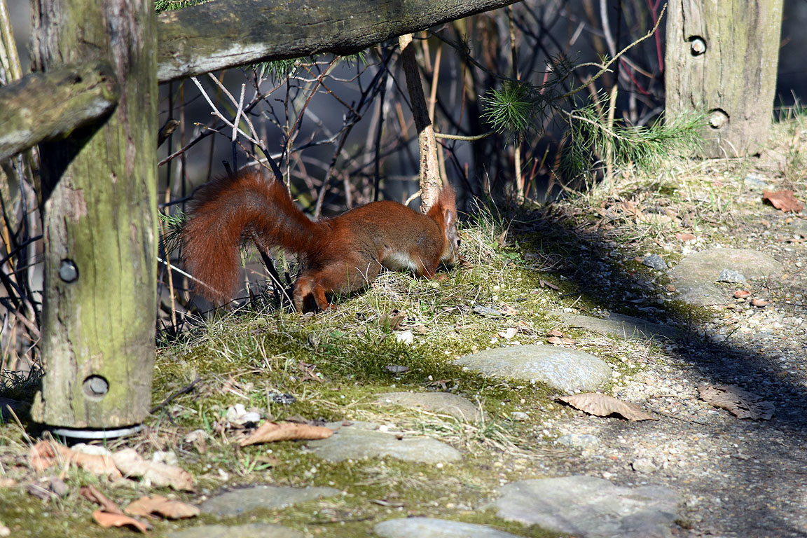 3b3d2734-f313-411b-ba60-a49585ebc052