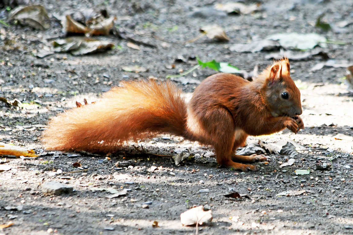 dc8b87c7-559a-47ca-ac1d-6cd0d3347f74