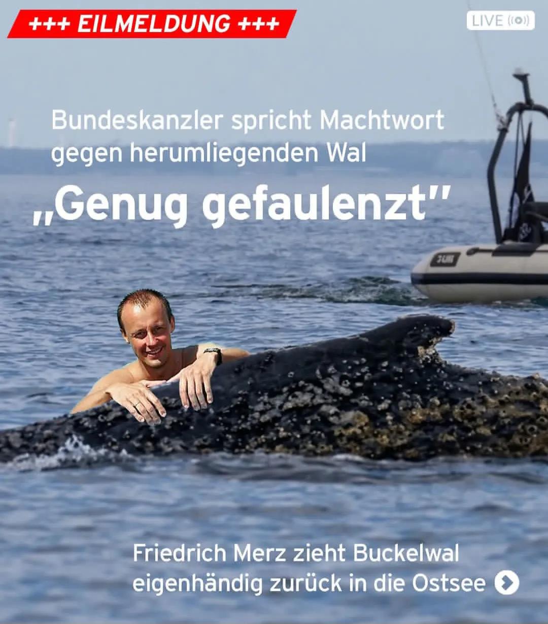 IMG 20260401 210656 260