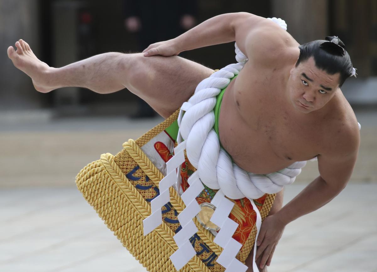 sumo