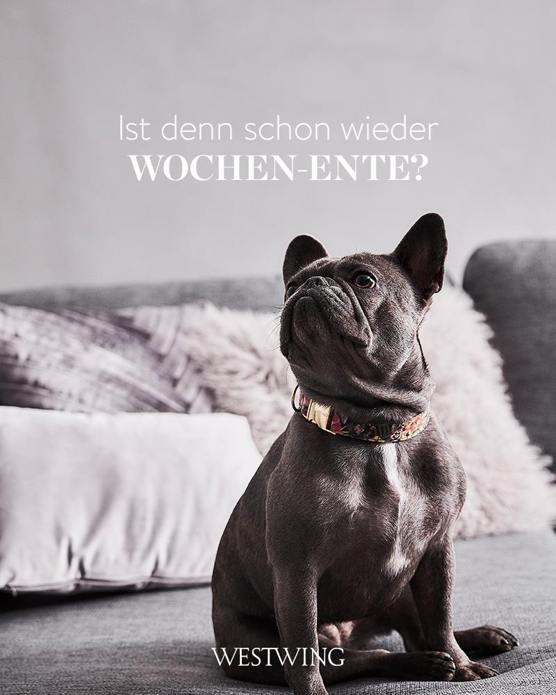 wochenende-spruch5