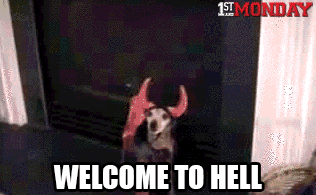 funny-pictures-welcome-to-hell-dog-devil