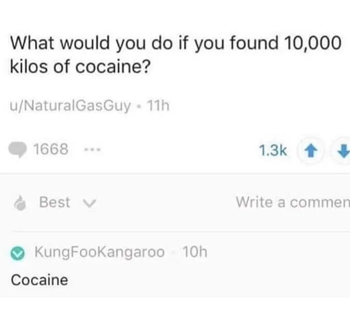 1000031519