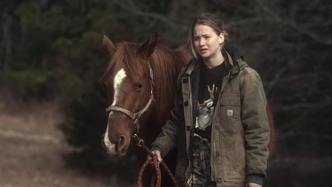 Winters Bone - Copy