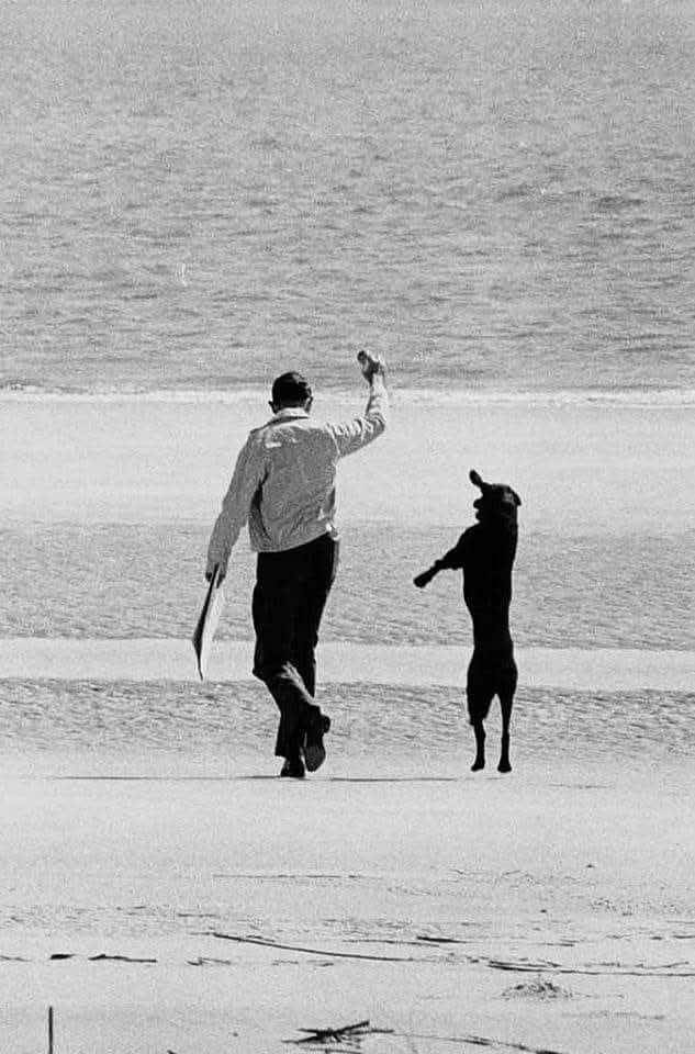 Ph Elliott Erwitt - Copy