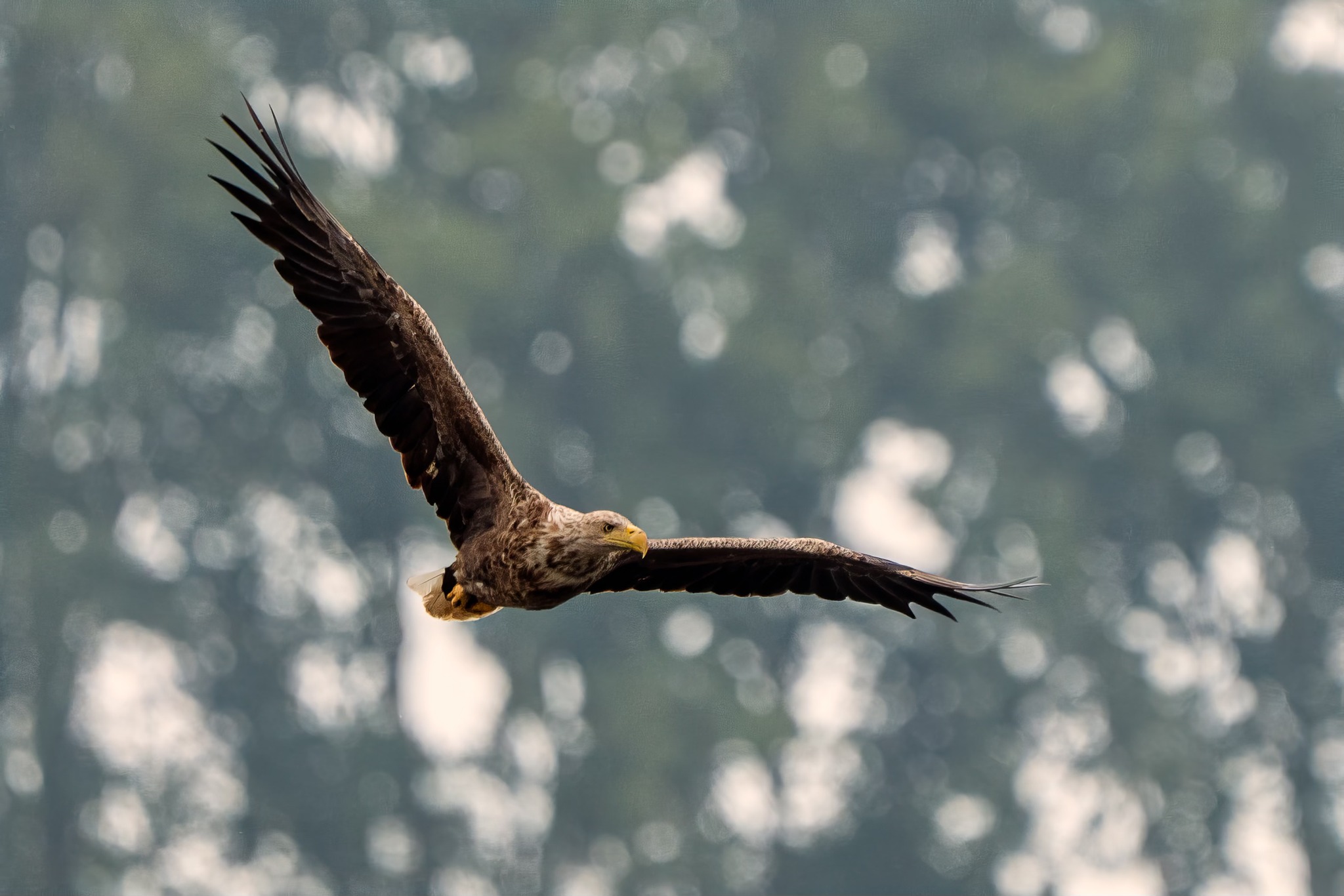 513891020 10237510335763650 721866080542