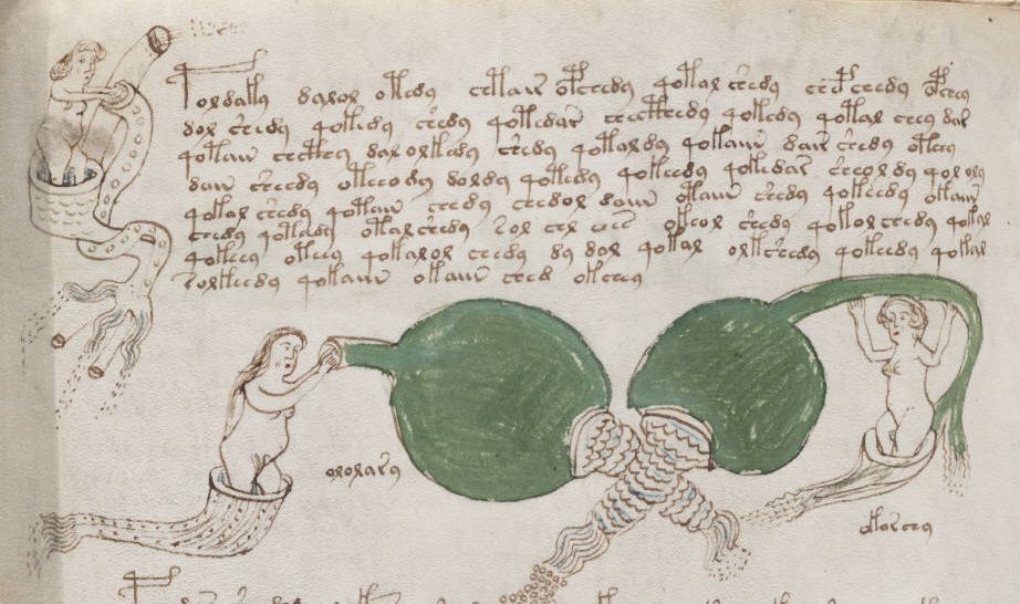 Voynich83v Auszug1