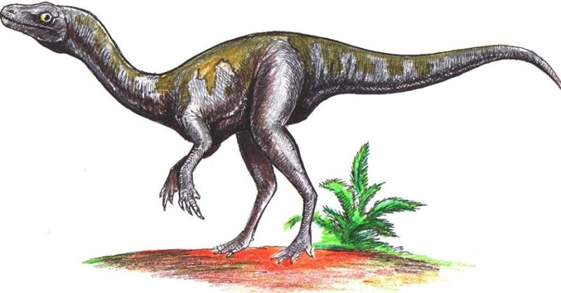 dinosaurios-nyasasaurus-parringtoni 21e1