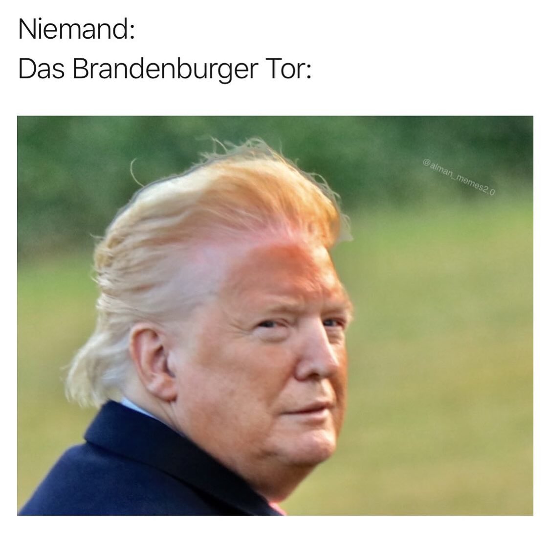 Klimakleber Donald Fans - Copy